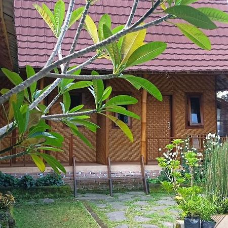 Mysha Guest House-Lombok Tetebatu Exteriör bild