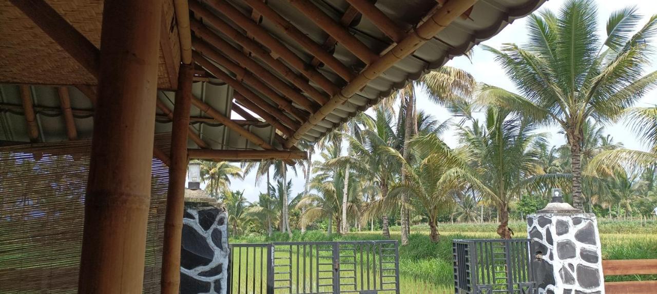 Mysha Guest House-Lombok Tetebatu Exteriör bild