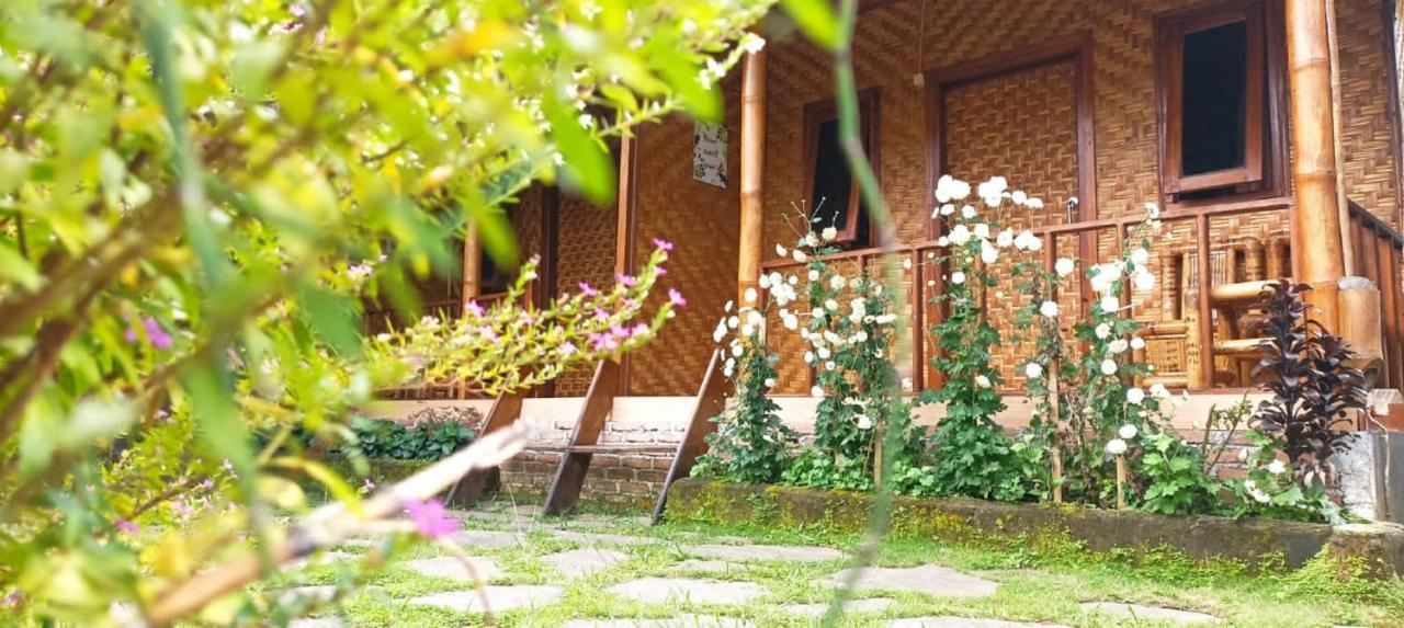 Mysha Guest House-Lombok Tetebatu Exteriör bild